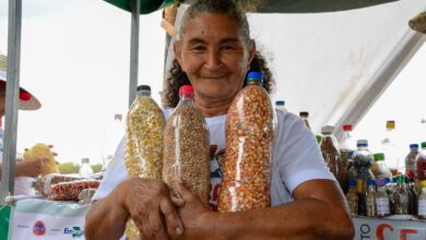 Feira da Agrobiodiversidade reúne guardiães de sementes no Semiárido Show