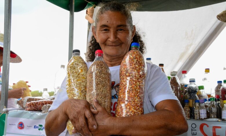 Feira da Agrobiodiversidade reúne guardiães de sementes no Semiárido Show