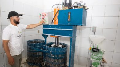 INVESTIMENTOS DO ESTADO NA AGRICULTURA FAMILIAR PERMITEM O RETORNO DE FAMÍLIAS AO RURAL DA BAHIA
