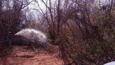 OESTE DA BAHIA E VALE DO SÃO FRANCISCO REGISTRAM TEMPERATURAS PRÓXIMAS DE 40°C