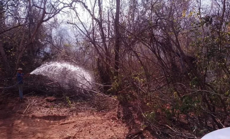 OESTE DA BAHIA E VALE DO SÃO FRANCISCO REGISTRAM TEMPERATURAS PRÓXIMAS DE 40°C