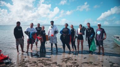 Projeto Mares Realiza ação de limpeza submarina no trecho Penha – Barra do Gil