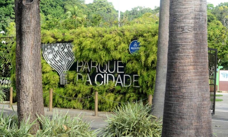 SALVADOR: FESTIVAL NO PARQUE DA CIDADE CELEBRA DIA INTERNACIONAL DA JUVENTUDE NO SÁBADO (12)