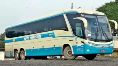 BOM JESUS DA LAPA: MP ACIONA VIAÇÃO NOVO HORIZONTE EM RAZÃO DE IRREGULARIDADES NO SERVIÇO DE TRANSPORTE NA CIDADE