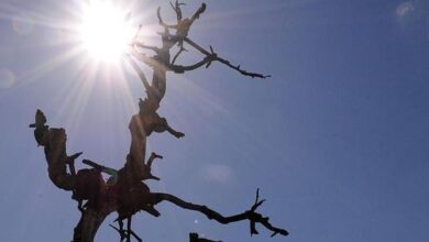 CIDADES DO OESTE BAIANO REGISTRAM TEMPERATURAS ACIMA DOS 40°C
