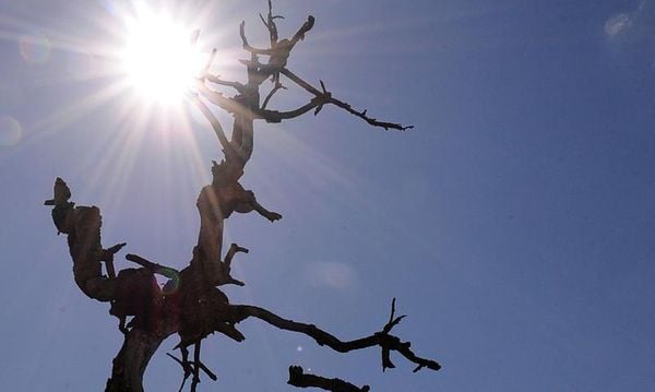 CIDADES DO OESTE BAIANO REGISTRAM TEMPERATURAS ACIMA DOS 40°C