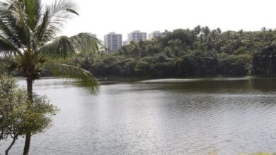 PARQUE METROPOLITANO DE PITUAÇU COMPLETA 50 ANOS COM PROGRAMAÇÃO ESPECIAL