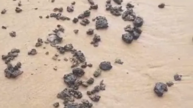 PESQUISADORES DA UFBA IDENTIFICAM ORIGEM DE ÓLEO ACHADO NA PRAIA DA BARRA VEIO DO KUWAIT