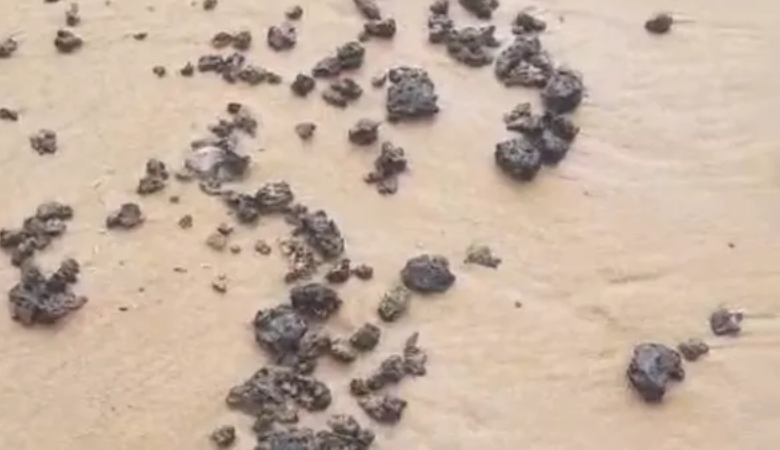 PESQUISADORES DA UFBA IDENTIFICAM ORIGEM DE ÓLEO ACHADO NA PRAIA DA BARRA VEIO DO KUWAIT