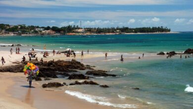 PRAIA EM SALVADOR PASSA POR LIMPEZA PARA RECEBER FESTIVAL DAS BALEIAS