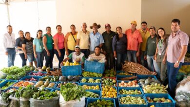 PRODUTORES RURAIS ASSISTIDOS PELO PROGRAMA GERMINAÇÃO ENTREGAM MAIS DE 2 MIL QUILOS DE ALIMENTOS AGROECOLÓGICOS EM PINDAÍ