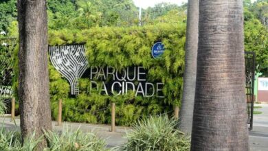 SALVADOR PROMOVE 1ª FEIRA AGROECOLÓGICA COM 30 EXPOSITORES NO PARQUE DA CIDADE NESTE SÁBADO (23)