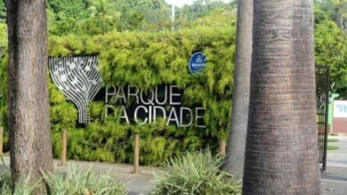 SALVADOR PROMOVE 1ª FEIRA AGROECOLÓGICA NO PARQUE DA CIDADE NO SÁBADO (23)