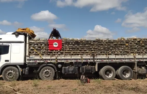STF SUSPENDE REINTEGRAÇÃO DE POSSE DE MAIS DE 80 FAMÍLIAS NO EXTREMO SUL BAIANO