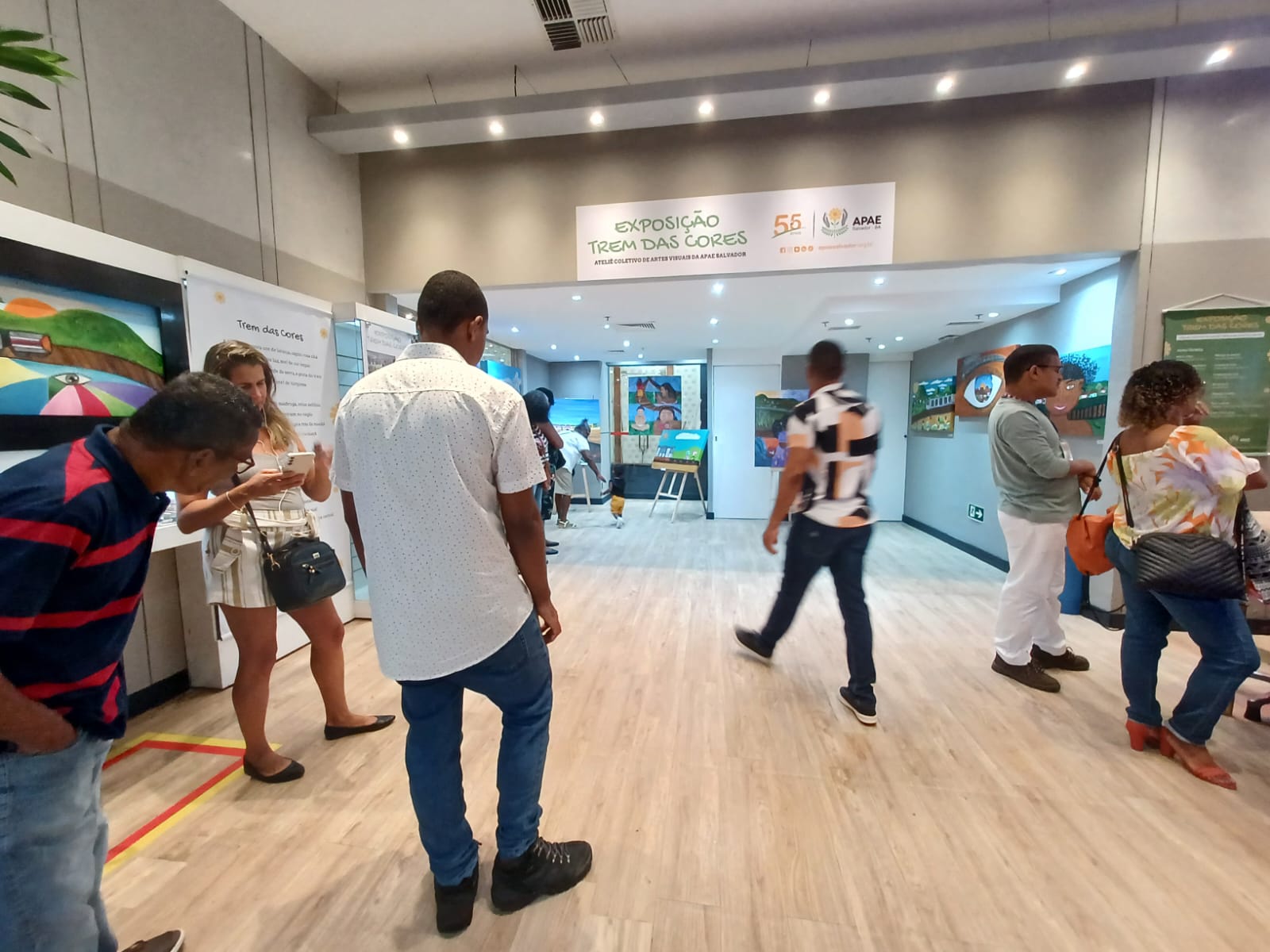 APAE EXPÕE TREM DAS CORES NO SHOPPING PIEDADE