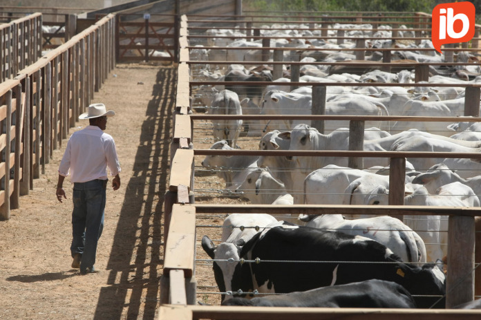 FAEB diz que foi surpreendida com cancelamento da Fenagro: “extremamente frustrante”