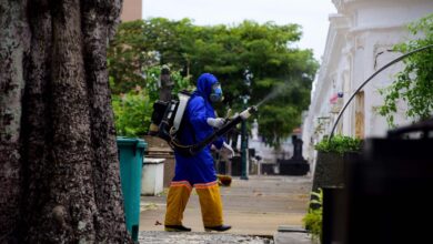 SALVADOR INICIA OPERAÇÃO VERÃO SEM MOSQUITO