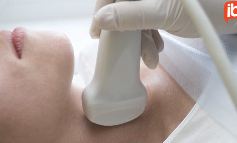 endocrinologista esclarece os mitos e verdades